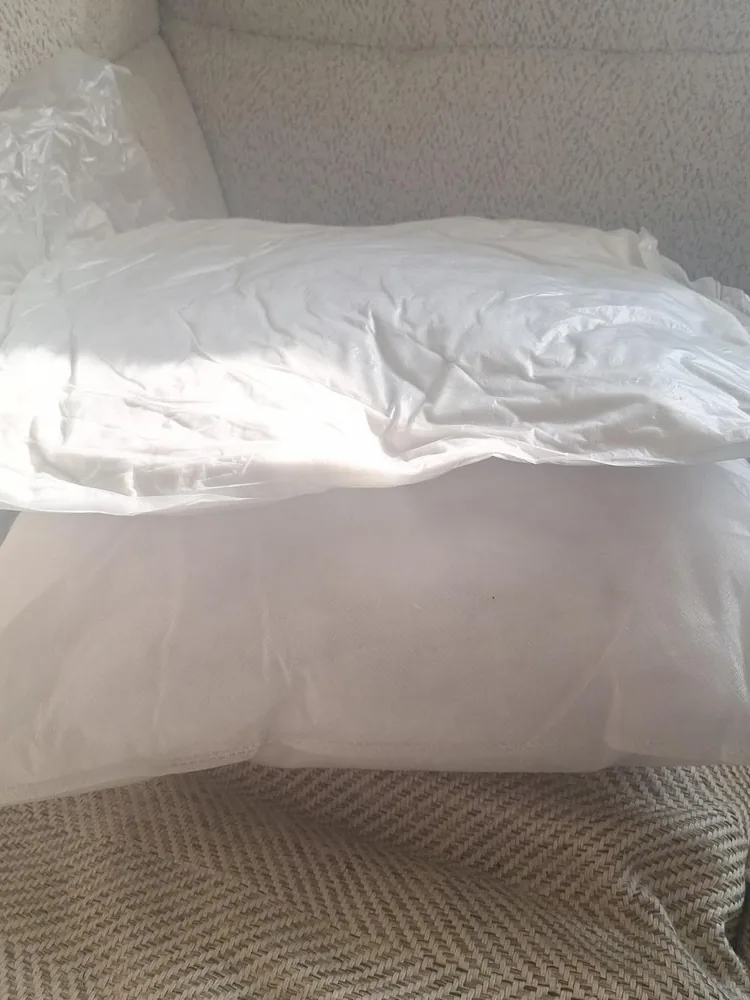 Fluffed pillow insert inside a decorative cover